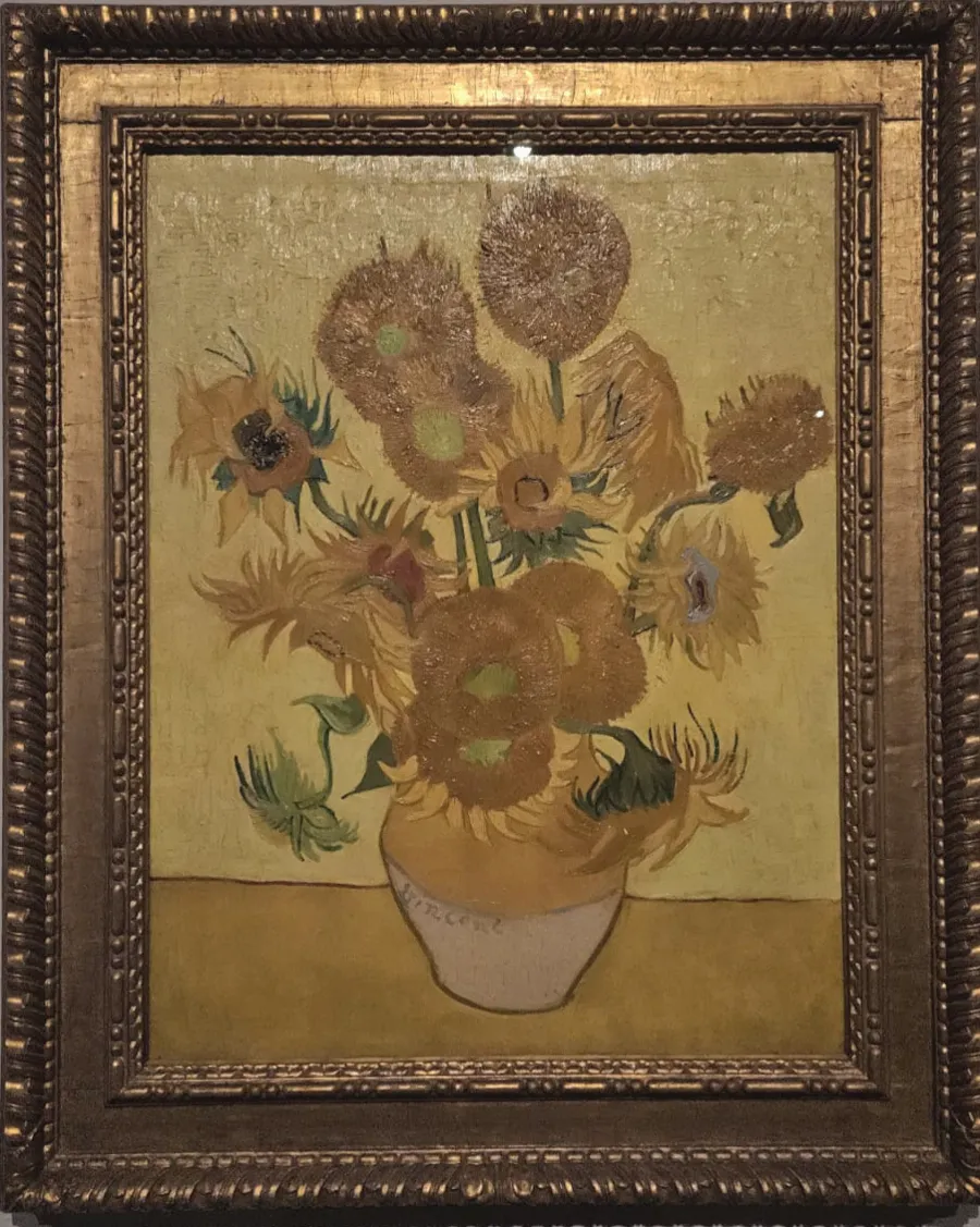 Os Girassóis de Vincent van Gogh, fotografado por Luana